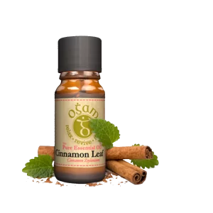 Ogam Cinnamon Leaf Pure Essential Oil - 10ml
