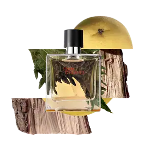 Hermès Terre d'Hermes Parfum Scent
